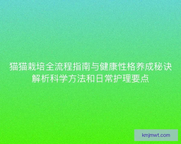 猫猫栽培全流程指南与健康性格养成秘诀解析科学方法和日常护理要点
