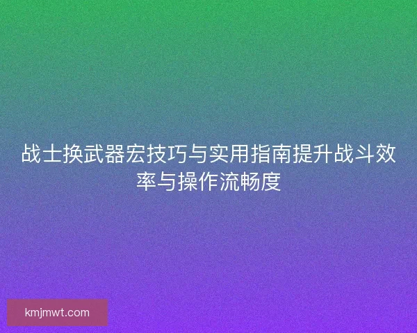 战士换武器宏技巧与实用指南提升战斗效率与操作流畅度