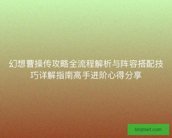 幻想曹操传攻略全流程解析与阵容搭配技巧详解指南高手进阶心得分享