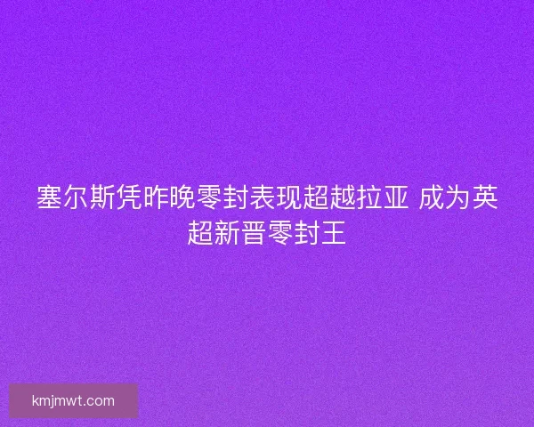 塞尔斯凭昨晚零封表现超越拉亚 成为英超新晋零封王