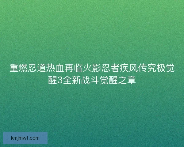 重燃忍道热血再临火影忍者疾风传究极觉醒3全新战斗觉醒之章